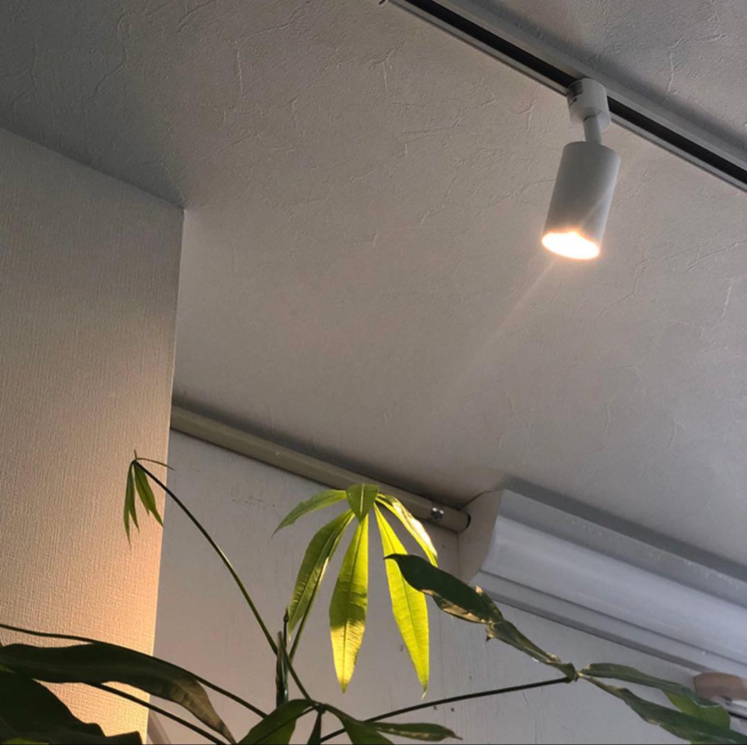 ヒカリ屋の照明ライト E11 40W相当 電球色 スポットライト 4個