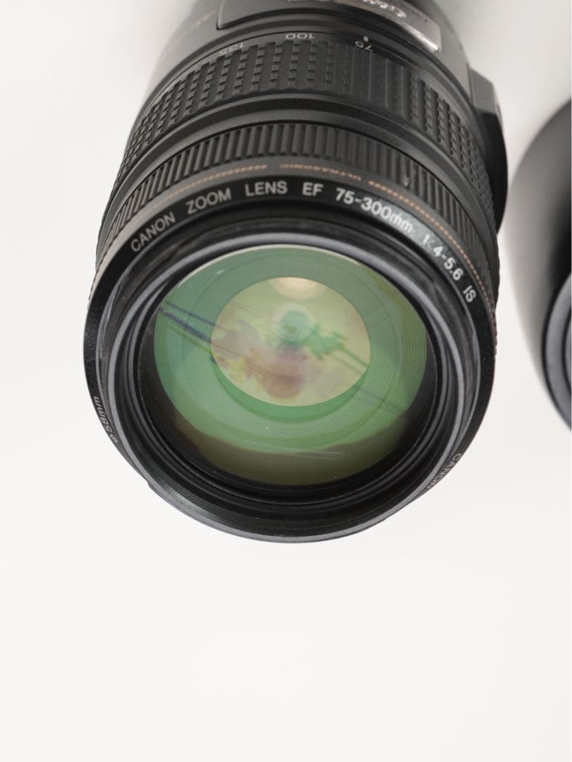 キャノンEF75-300mm F4-5.6IS