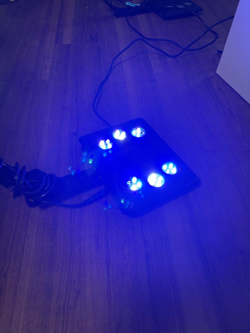 テリーRed Sea リーファ170G2+ 引き取り限定