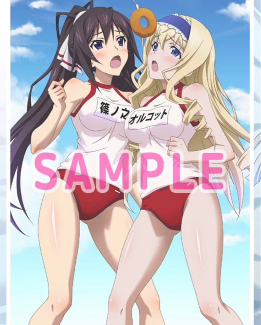 IS＜インフィニット・ストラトス＞2 ラブ アンド パージ　特典タペストリー