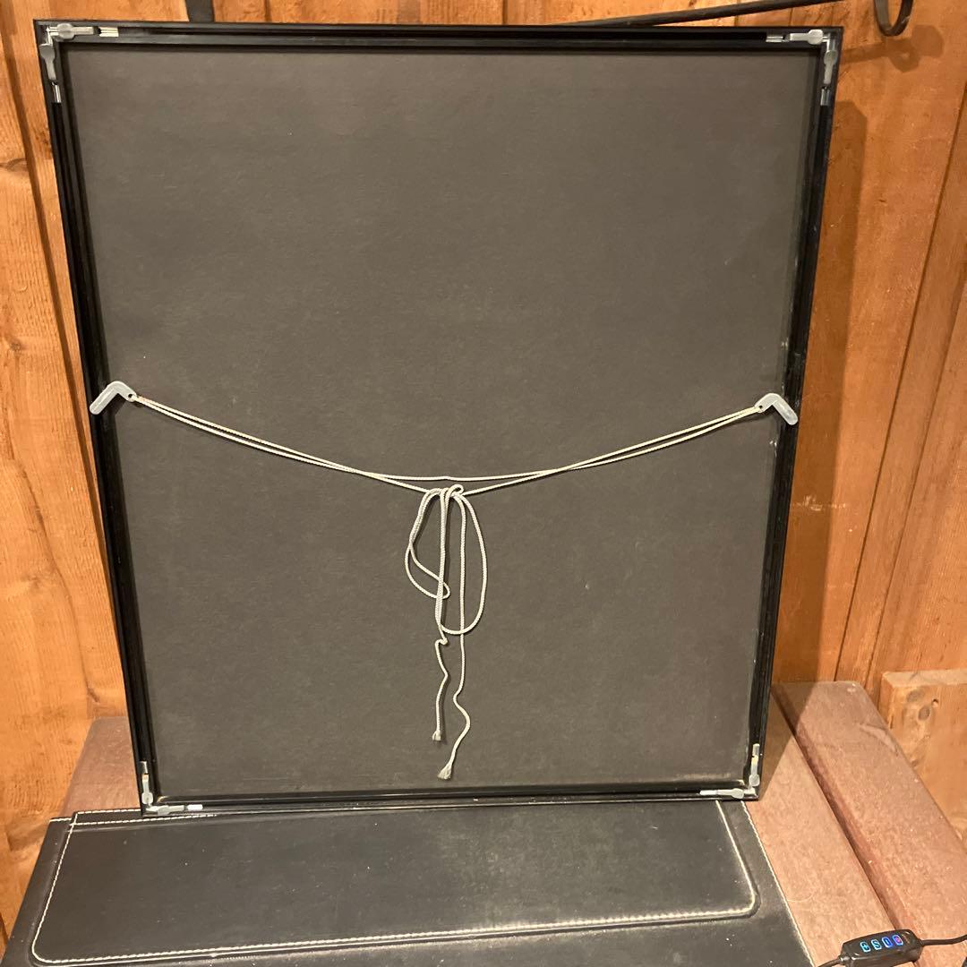 スタンラン 猫 額装品 アート ポスター 絵画 Steinlen