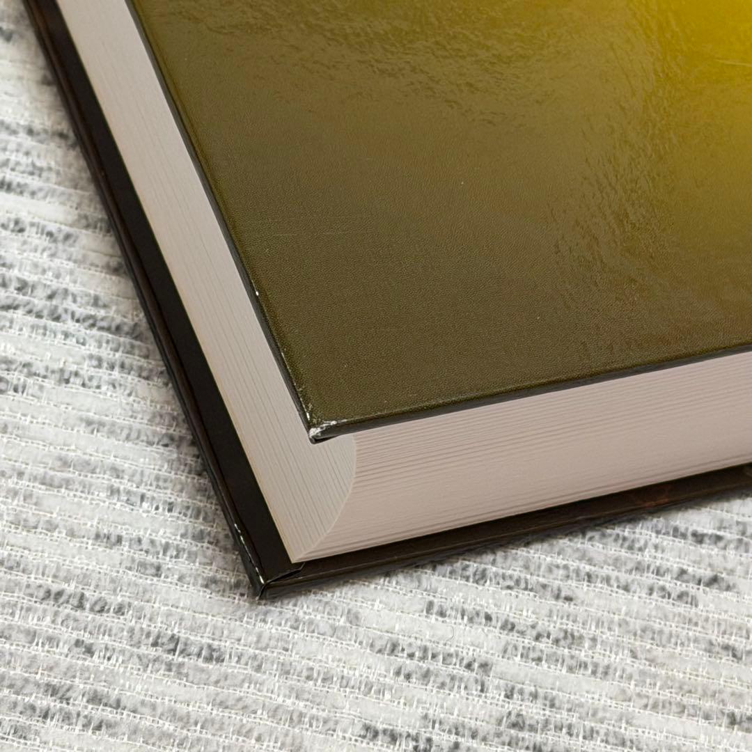 奇跡が起こる カタカムナ生命の書 図像集2 丸山修寛