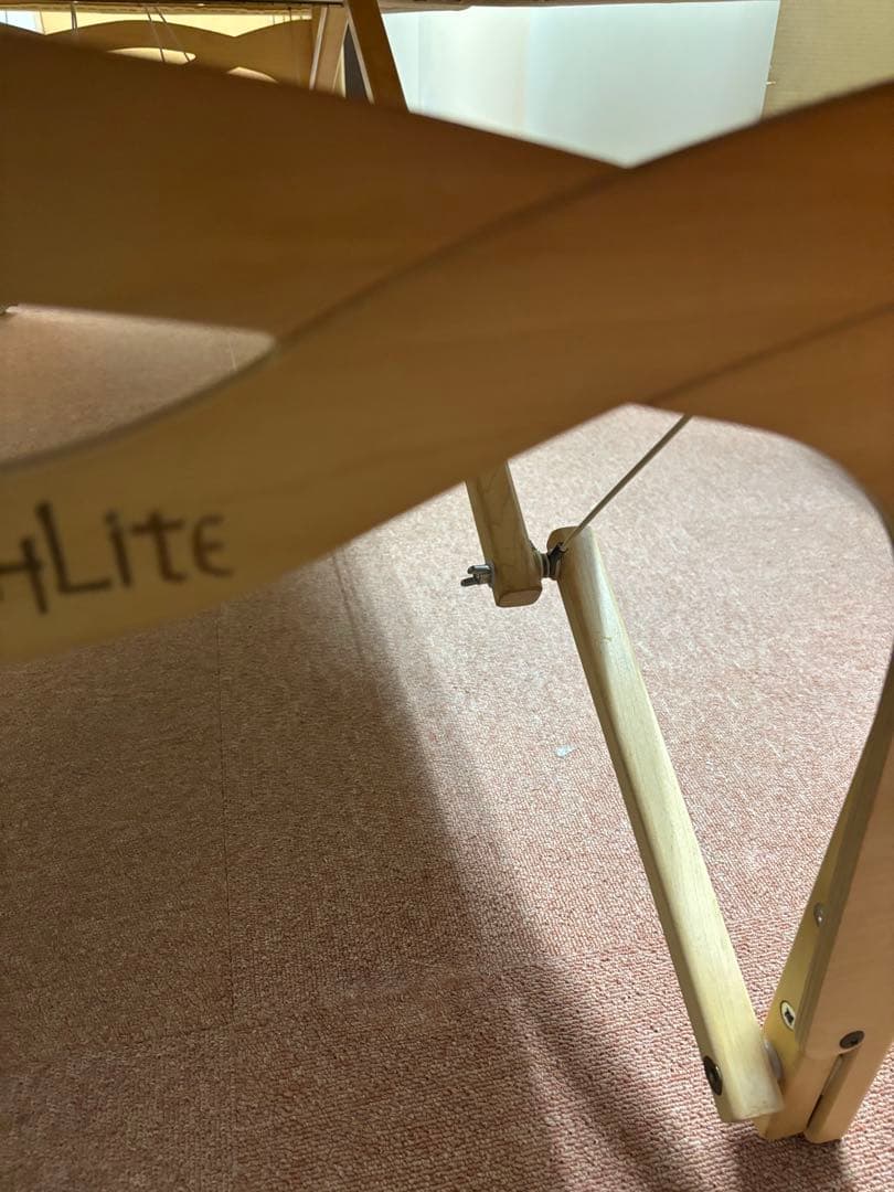 アースライト社製　マッサージベッド