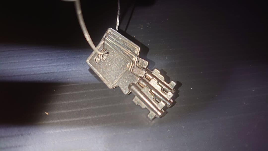 【高嶋ちさ子直筆サイン入り】BAM(バム) バイオリンケース 2002XLB