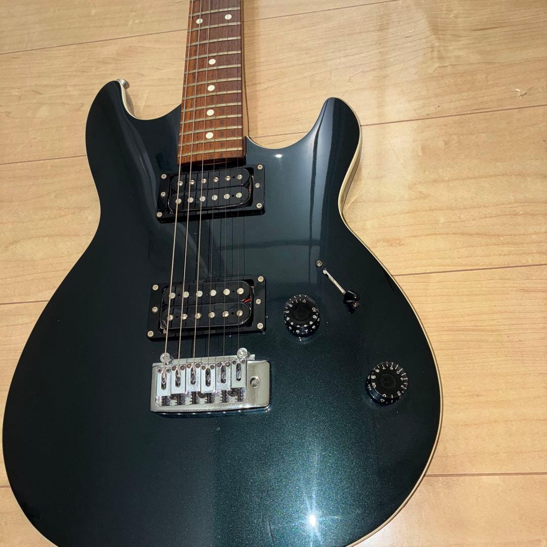 超希少　History(フジゲン) ZGF CFS 富士弦製　日本製