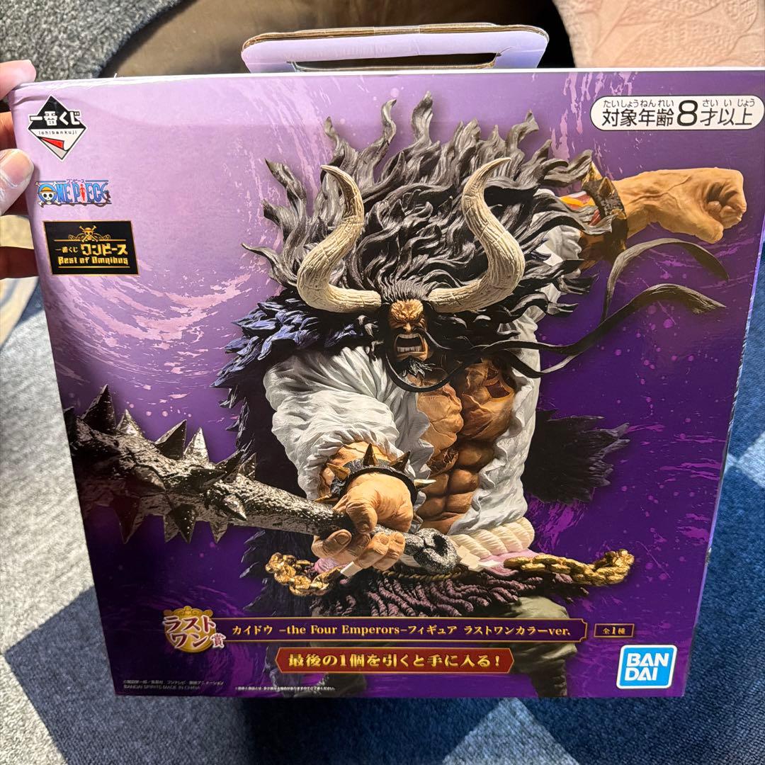 ワンピース 最後の四皇 カイドウ スペシャルカラーver.