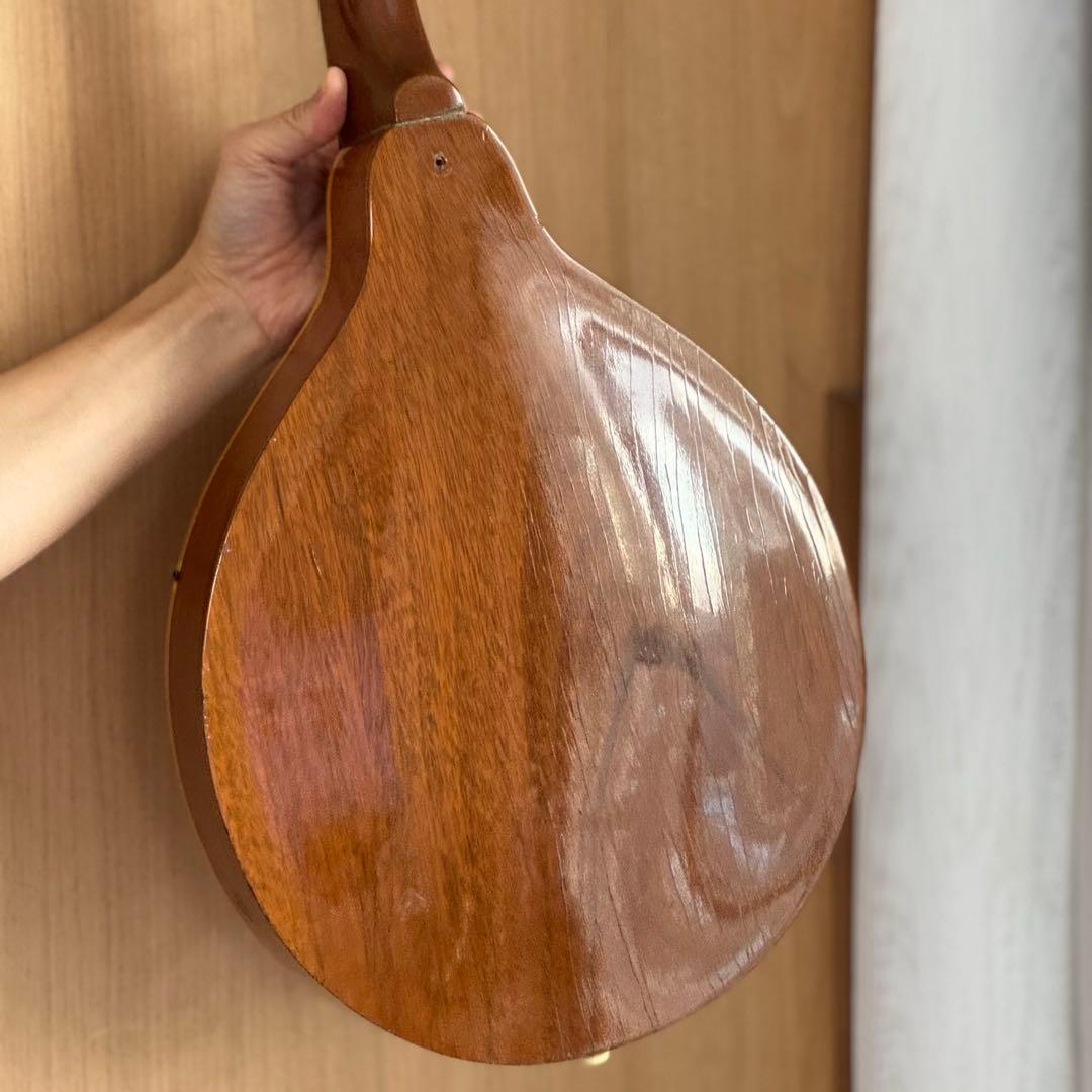 <超貴重特A>GibsonマンドリンA40-N 1940s ~1950s