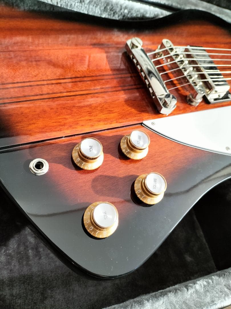 a5115 新品epiphone Firebird【専用ハードケース付属】