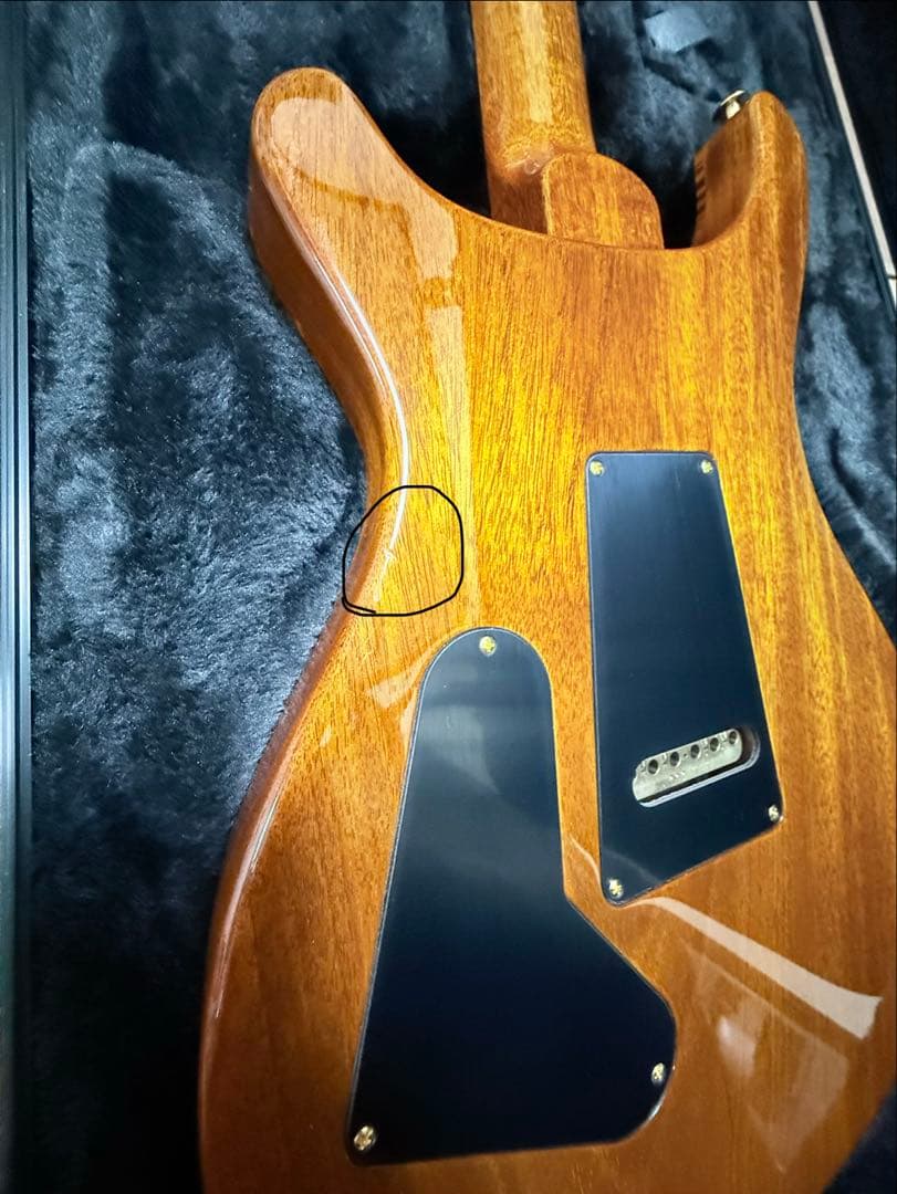 PRS2025Custom24 10Top Black Gold【1P Top】