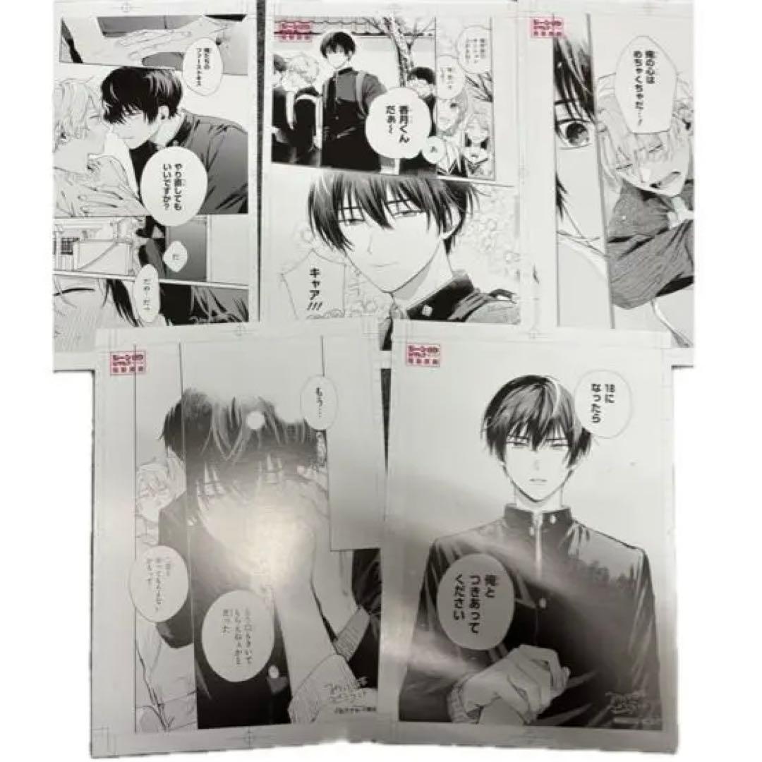 みなと商事ランドリー 複製原画 5枚セット みなしょー