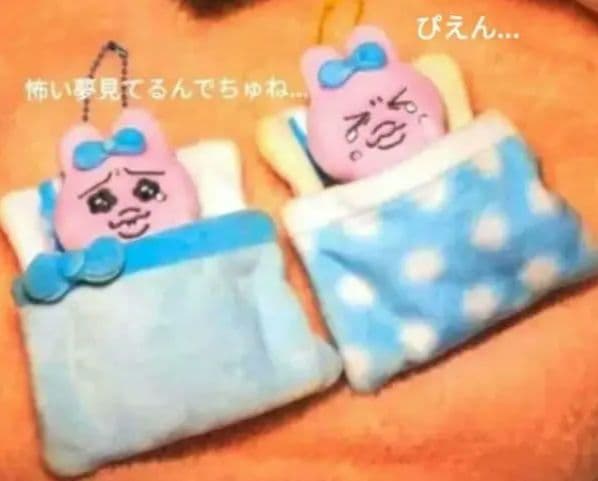 【レア】おぱんちゅうさぎ♡すやすやセットです^_^