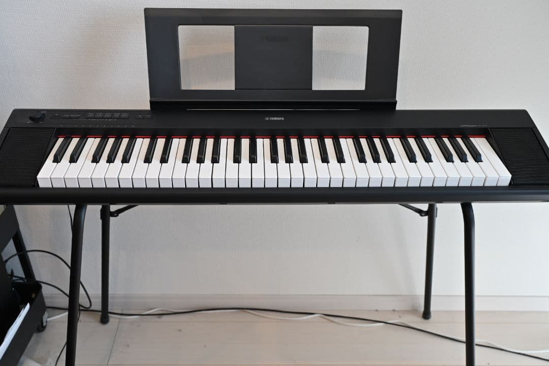 Yamaha ピアジェーロ　np-12