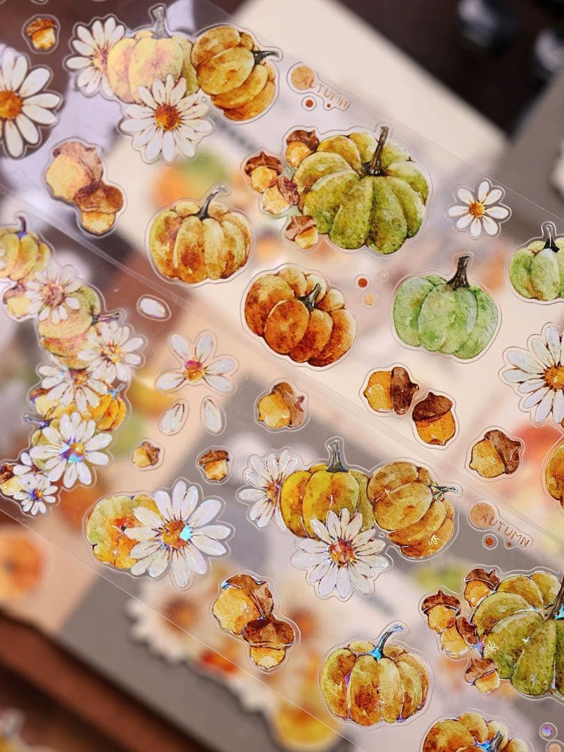 ⭐️SALE⭐️小白家文創《南瓜派》海外マスキングテープ マステ 【2747】