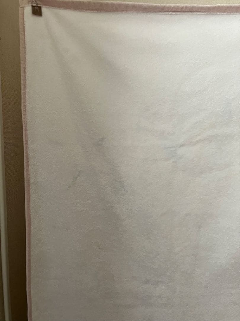 「穏やかな猫タオルケット」カネコアヤノ