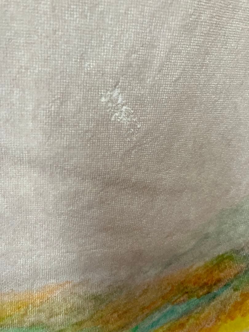 「穏やかな猫タオルケット」カネコアヤノ