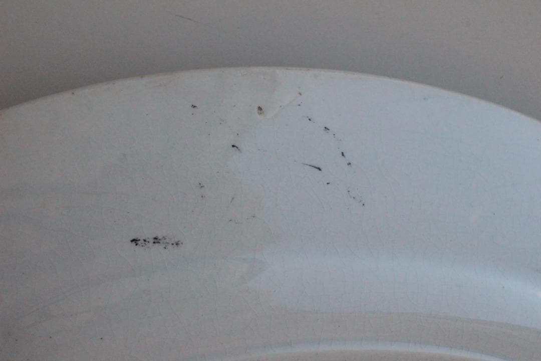 フランスアンティーク/ショワジールロア・バラのオーバルプレート