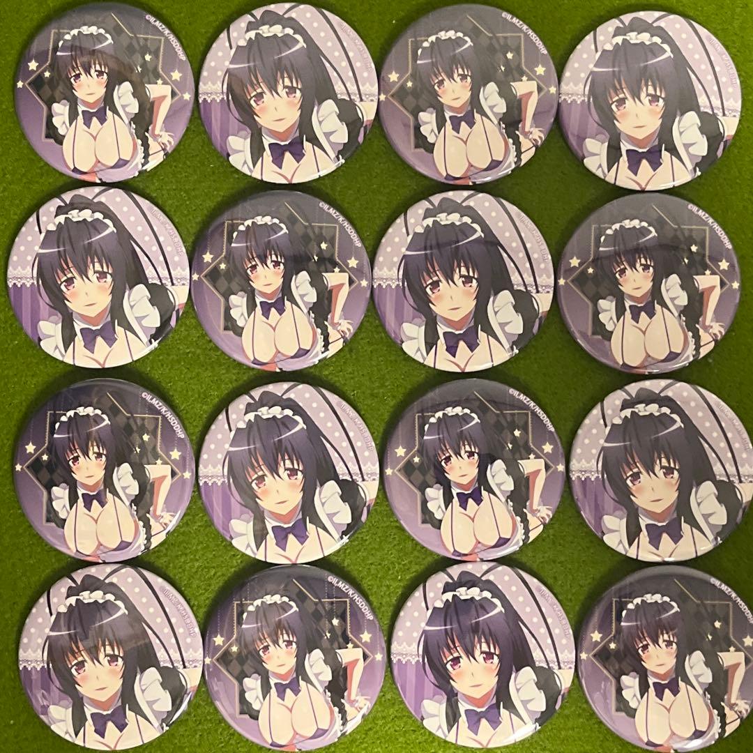 ハイスクールD×D HERO 缶バッジ セクシーメイド 姫島朱乃 16点