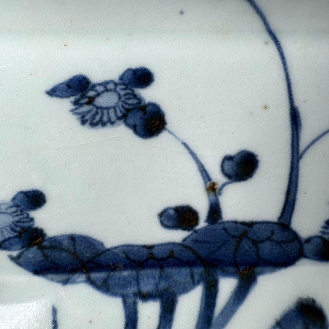 古伊万里　染付芙蓉文様長皿　五客　成化年製　江戸後期　料理屋　花草文様　裏文様有