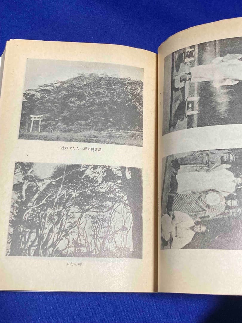 折口信夫全集 中公文庫 全32巻揃◆折口信夫、中央公論社、昭和50年/Y129