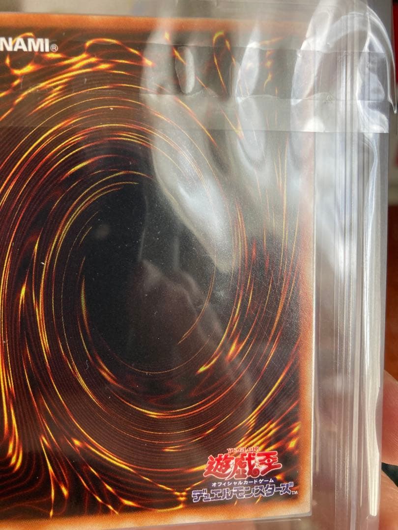 ワッター　8月31日12時迄　ブラッド・ヴォルス ウルパラ　ARS8