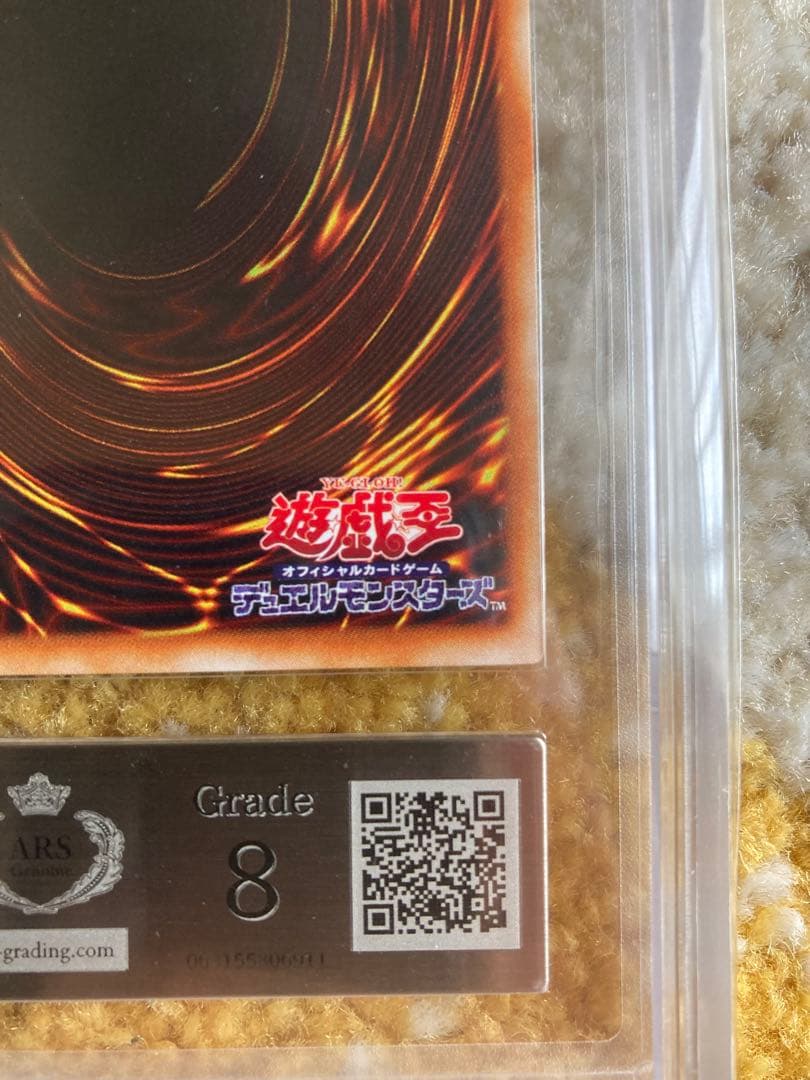 ワッター　8月31日12時迄　ブラッド・ヴォルス ウルパラ　ARS8