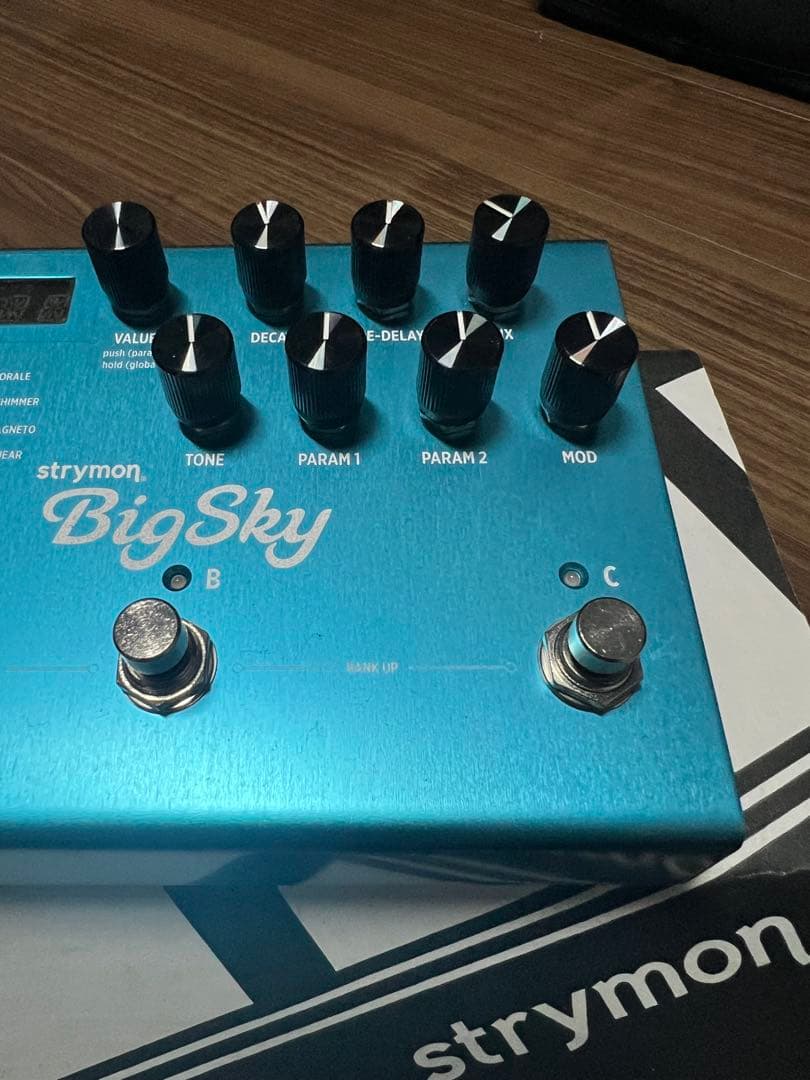 美品　アダプター付き　ストライモン　ビッグスカイ　strymon Big Sky