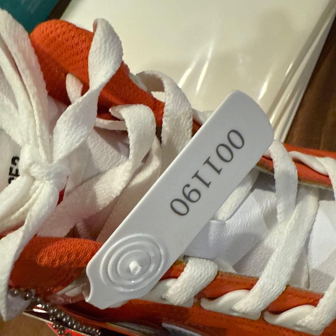 NIKE × Supreme SB AIR FORCE 2 　US13　室内履き