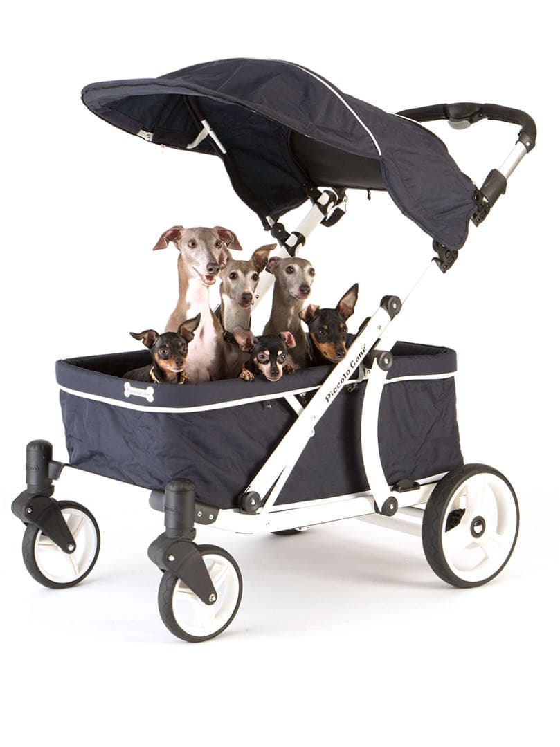 【Piccolo Cane】ピッコロカーネ CREA クレア