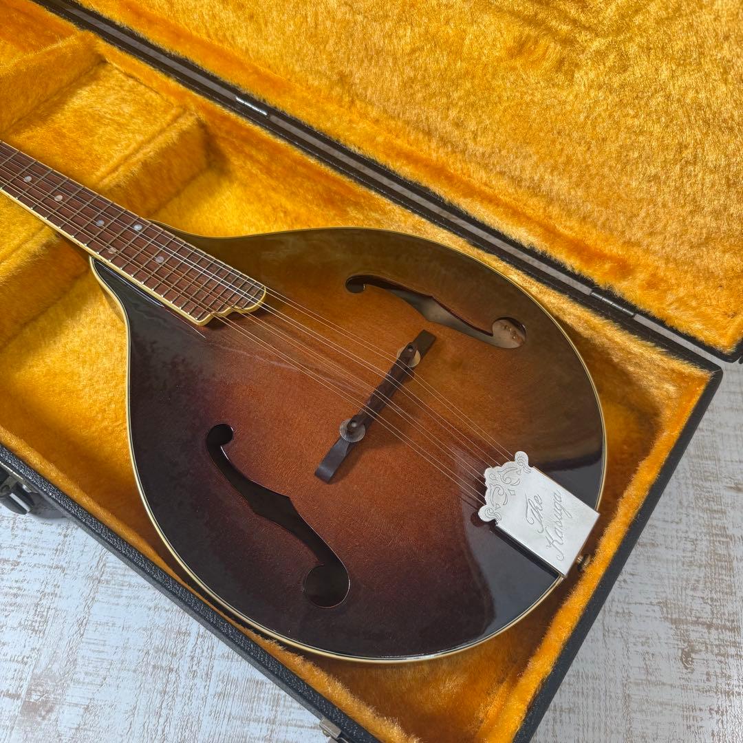 春日　Kasuga フラット マンドリン　F-5 ジャパンビンテージ