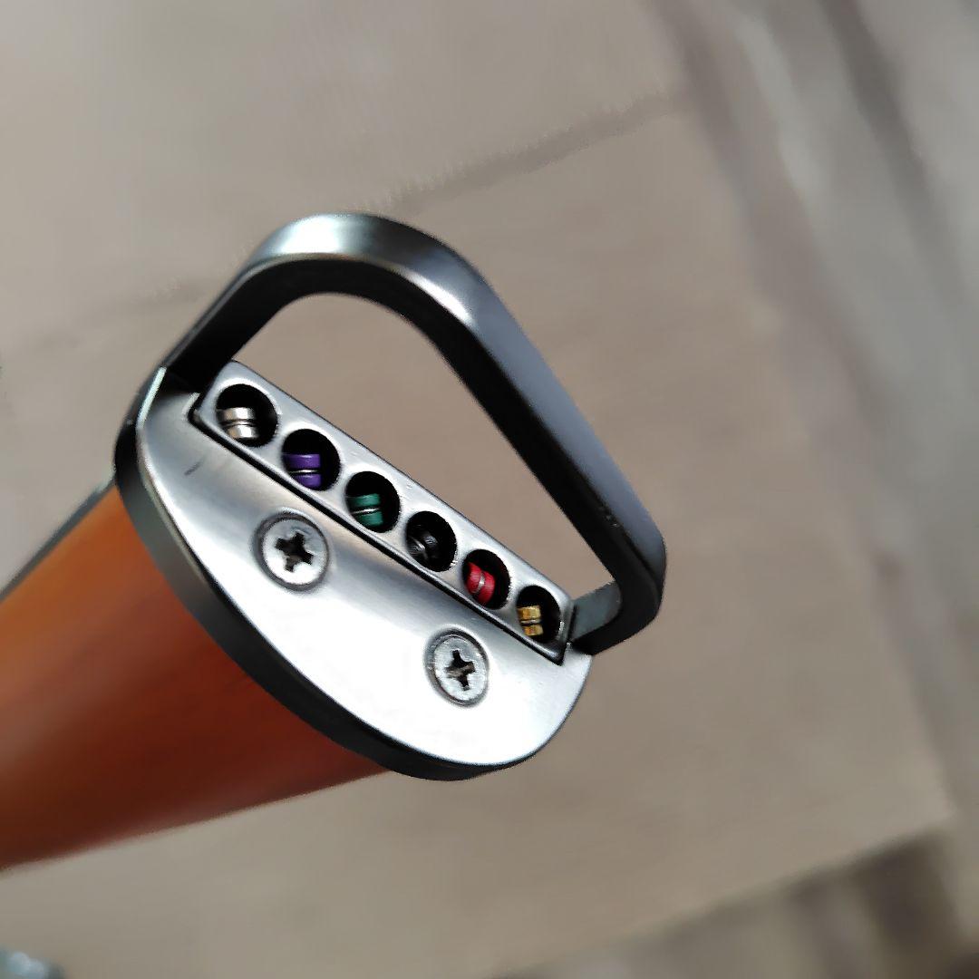 あ*ん様 ヘッドレスギター 専用ソフトケース付き