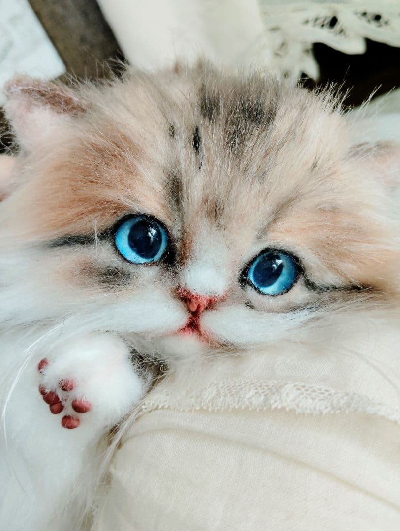 ラピちゃん御予約❤️美人ちゃん❤ブラウンタビーミヌエット子猫ちゃん❤アートドール