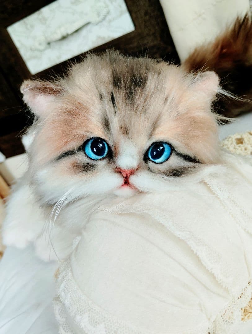 ラピちゃん御予約❤️美人ちゃん❤ブラウンタビーミヌエット子猫ちゃん❤アートドール