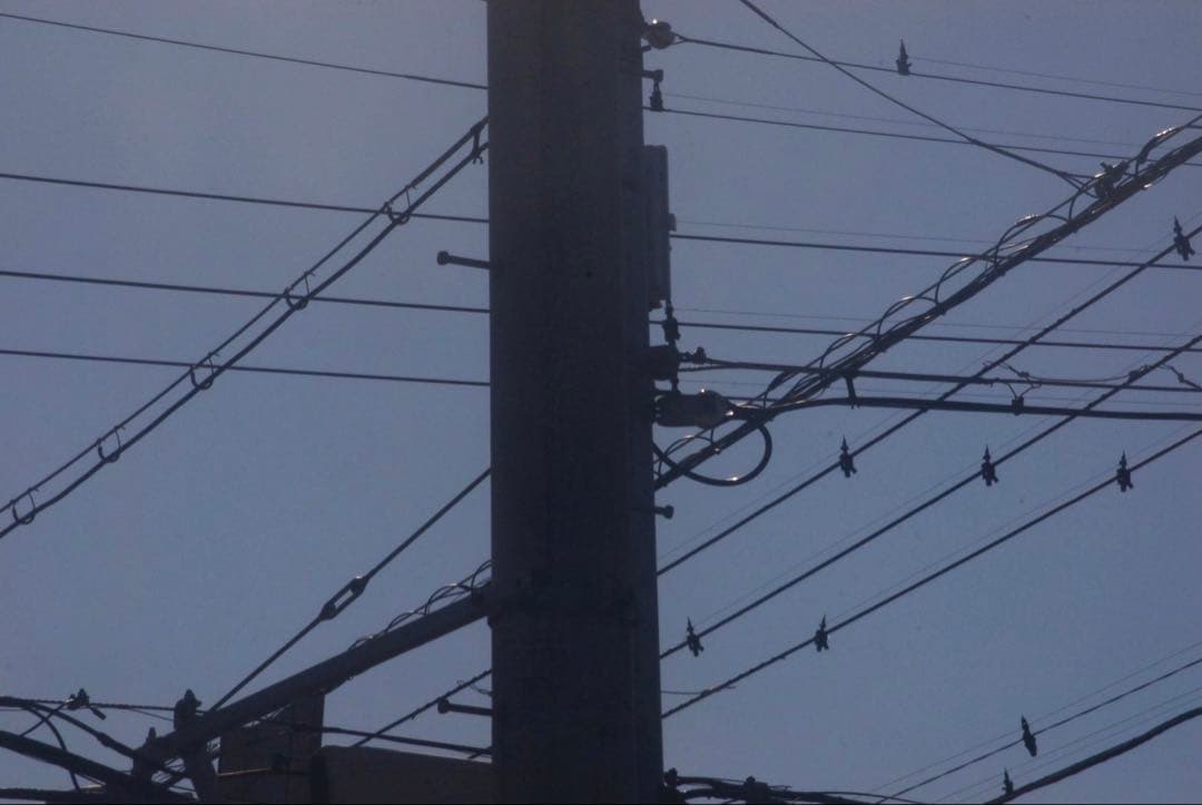 ⭐超人気望遠レンズ　Nikon AF-S 55-300mm VR　レンズ曇りアリ