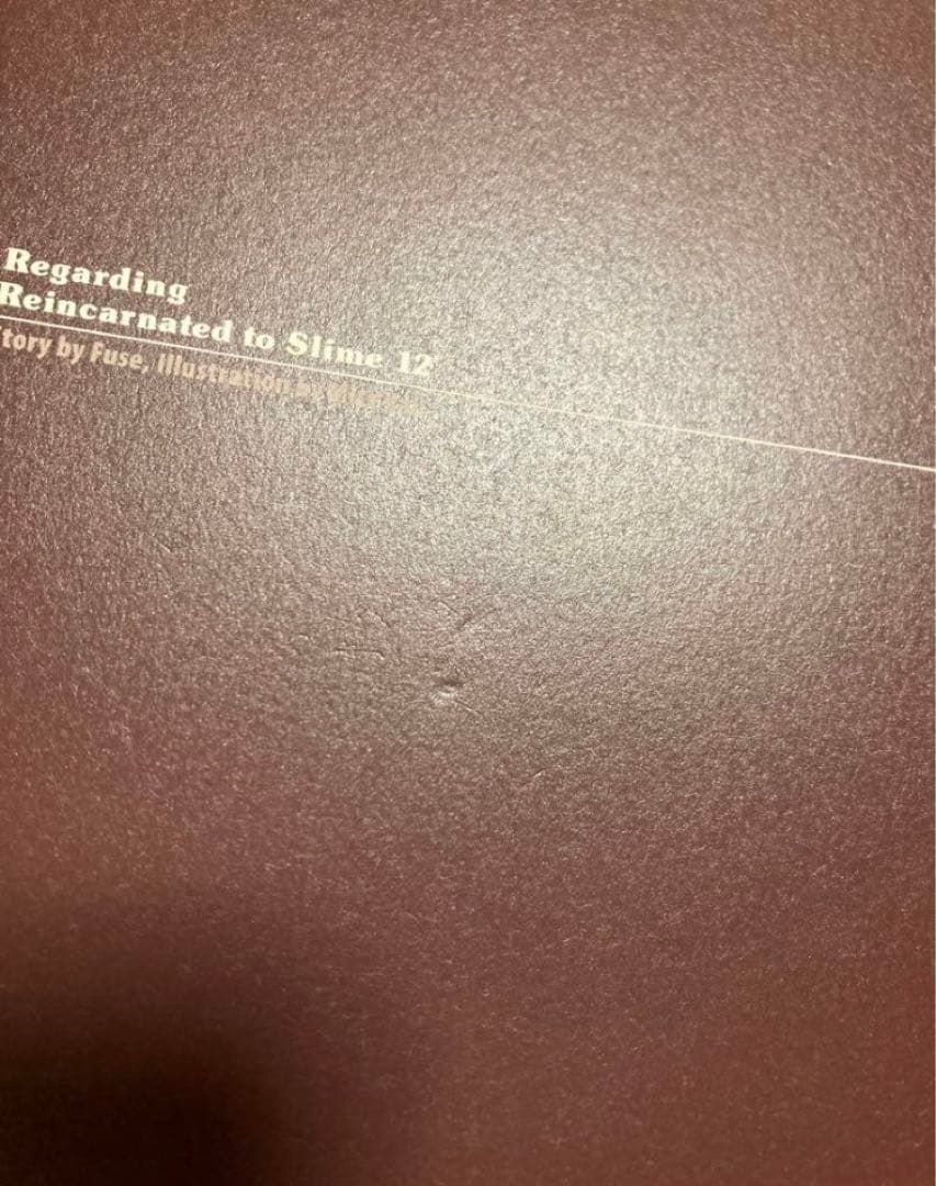 転生したらスライムだった件 小説 特装版 まとめ売り