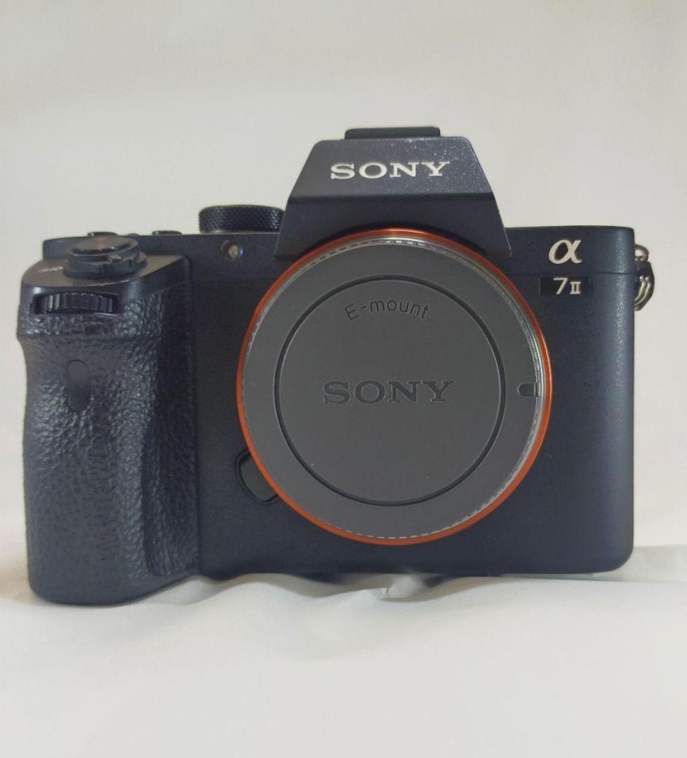 【年始セール】SONY α7 II ミラーレスカメラ 付属品多数
