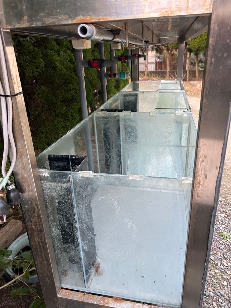 オーバーフロー水槽 多段 ガラス製 ポンプ付き