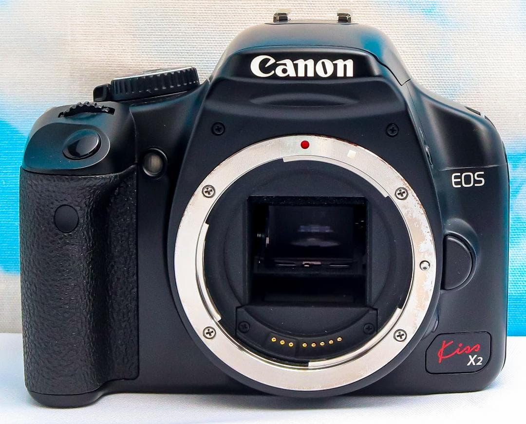 キャノン Canon Kiss x2⭐️カンタン操作⭐️スマホに転送⭐️一眼レフ