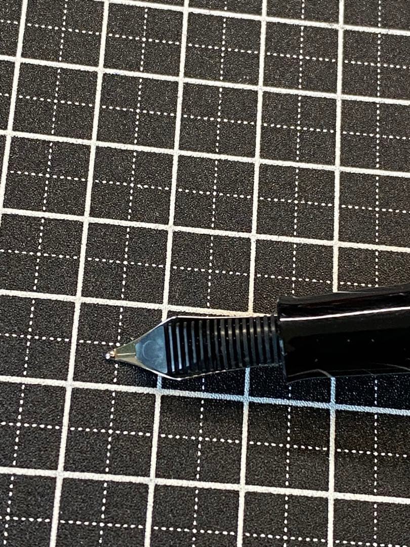 Pelikan M101N Lizard 万年筆　字幅M