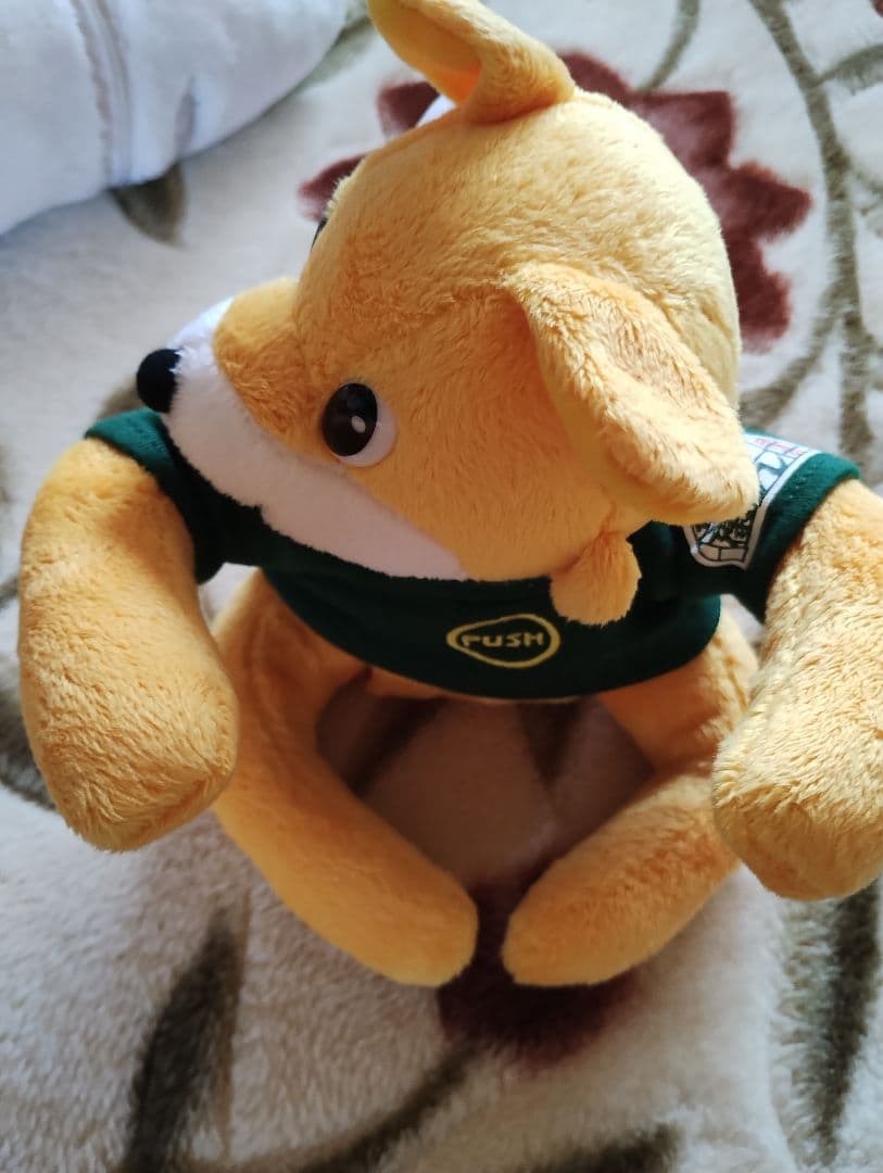 【レア】【希少】【未使用】日清 どん兵衛・ほのぼの親子ここちよか兵衛