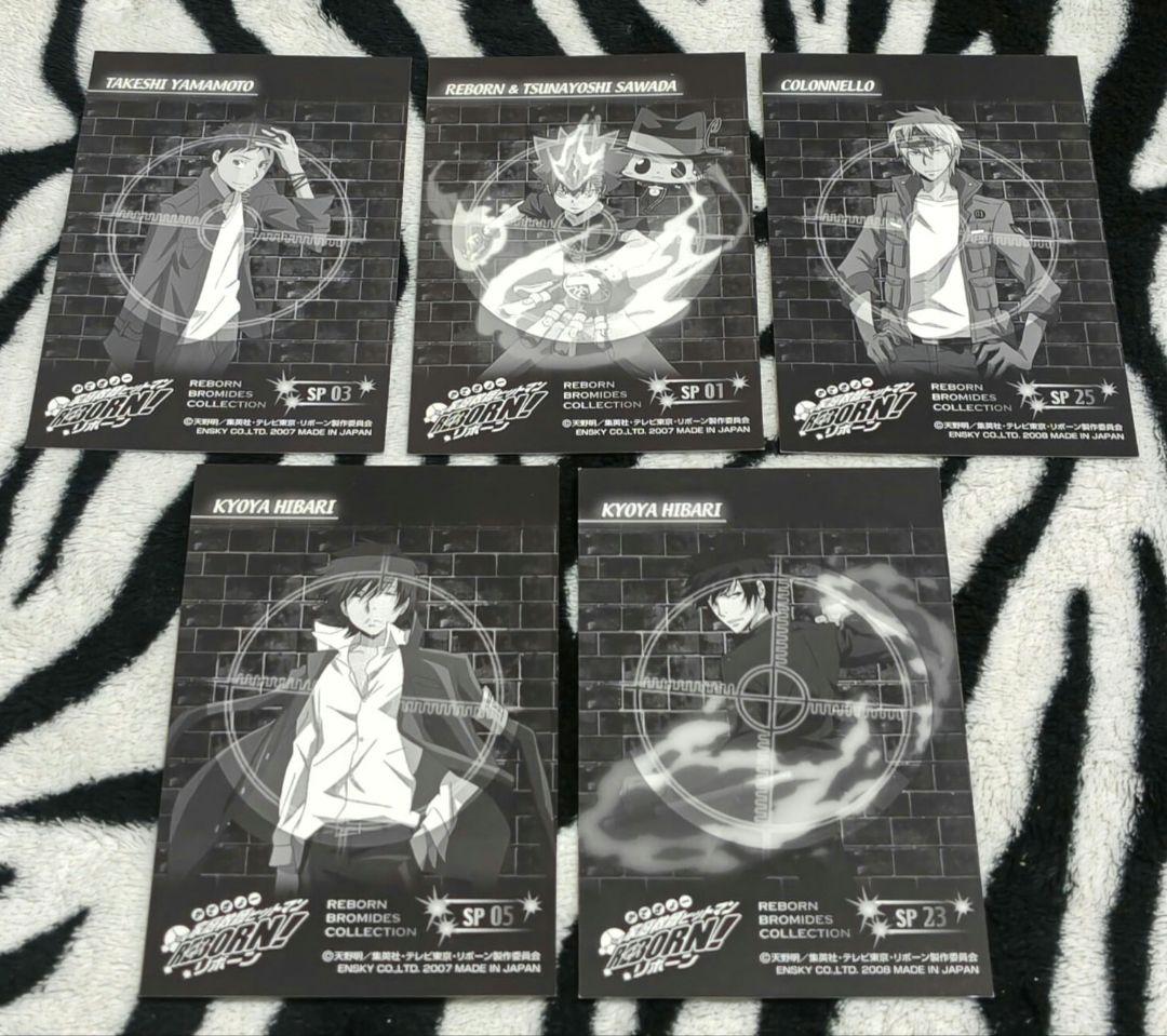 家庭教師ヒットマンREBORN! ブロマイドコレクション 5種セット(SP)