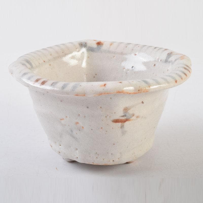 和食器　茶懐石　志野焼　加藤十右衛門　向付　五客　共箱　C　9015