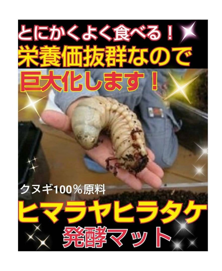 たっぷり100リットル！お買い得！カブトムシ幼虫の餌☆丸々太ります！産卵にも抜群