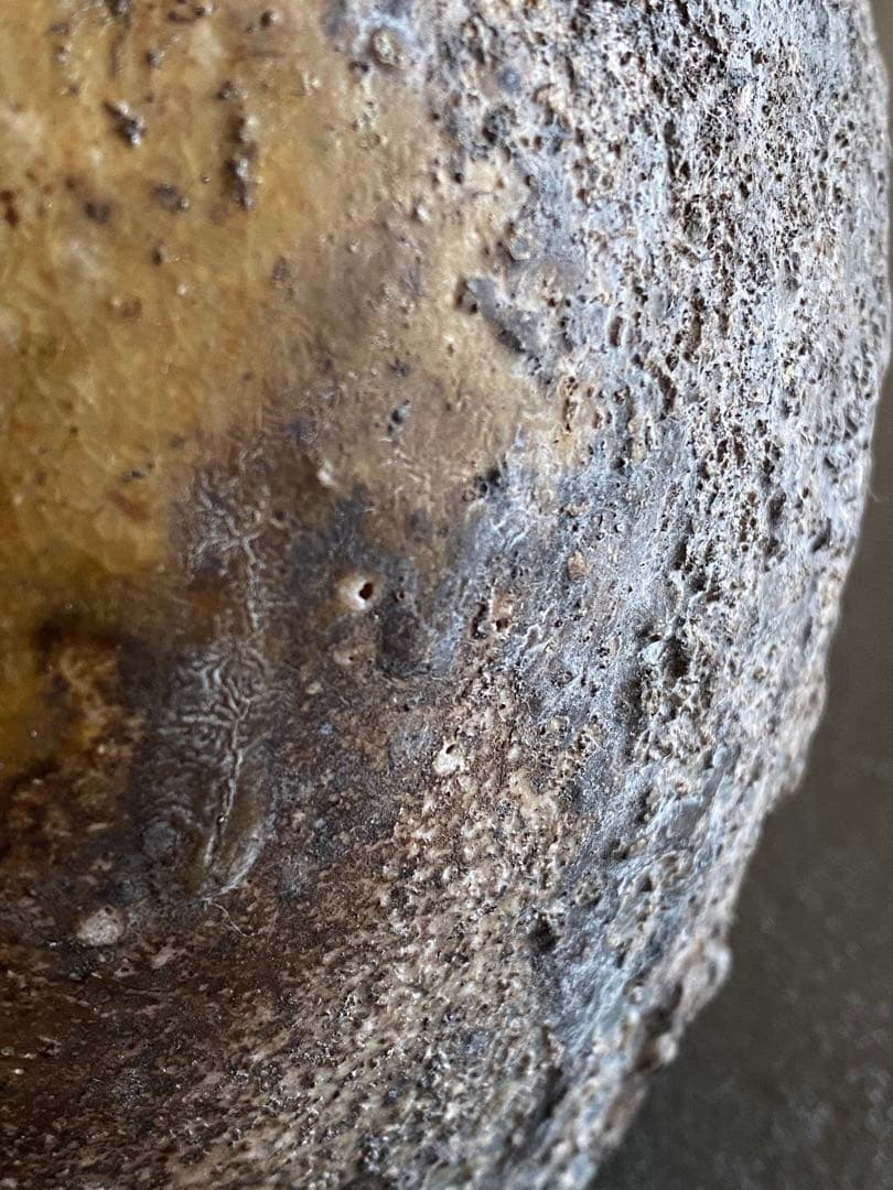 伊賀焼 Iga ware 壺 蹲 うずくまる Jar 谷本光生 R01