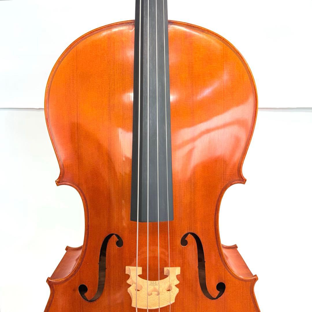 弦楽器 mocototo carlo giordano 4/4 sc-240 20