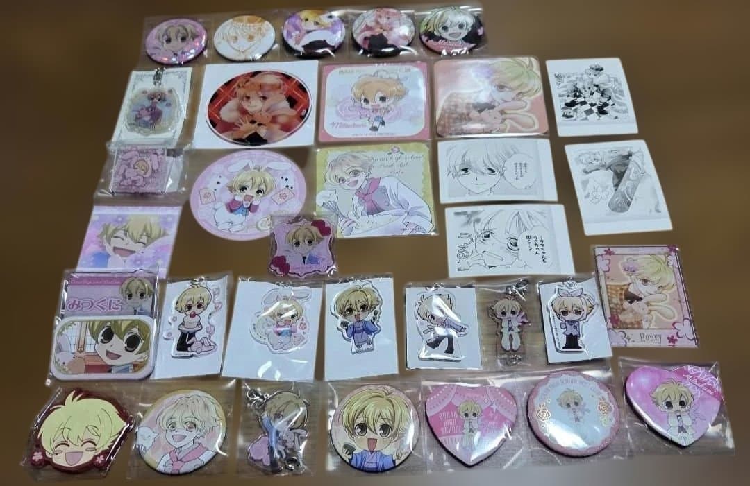 桜蘭高校ホスト部 219点