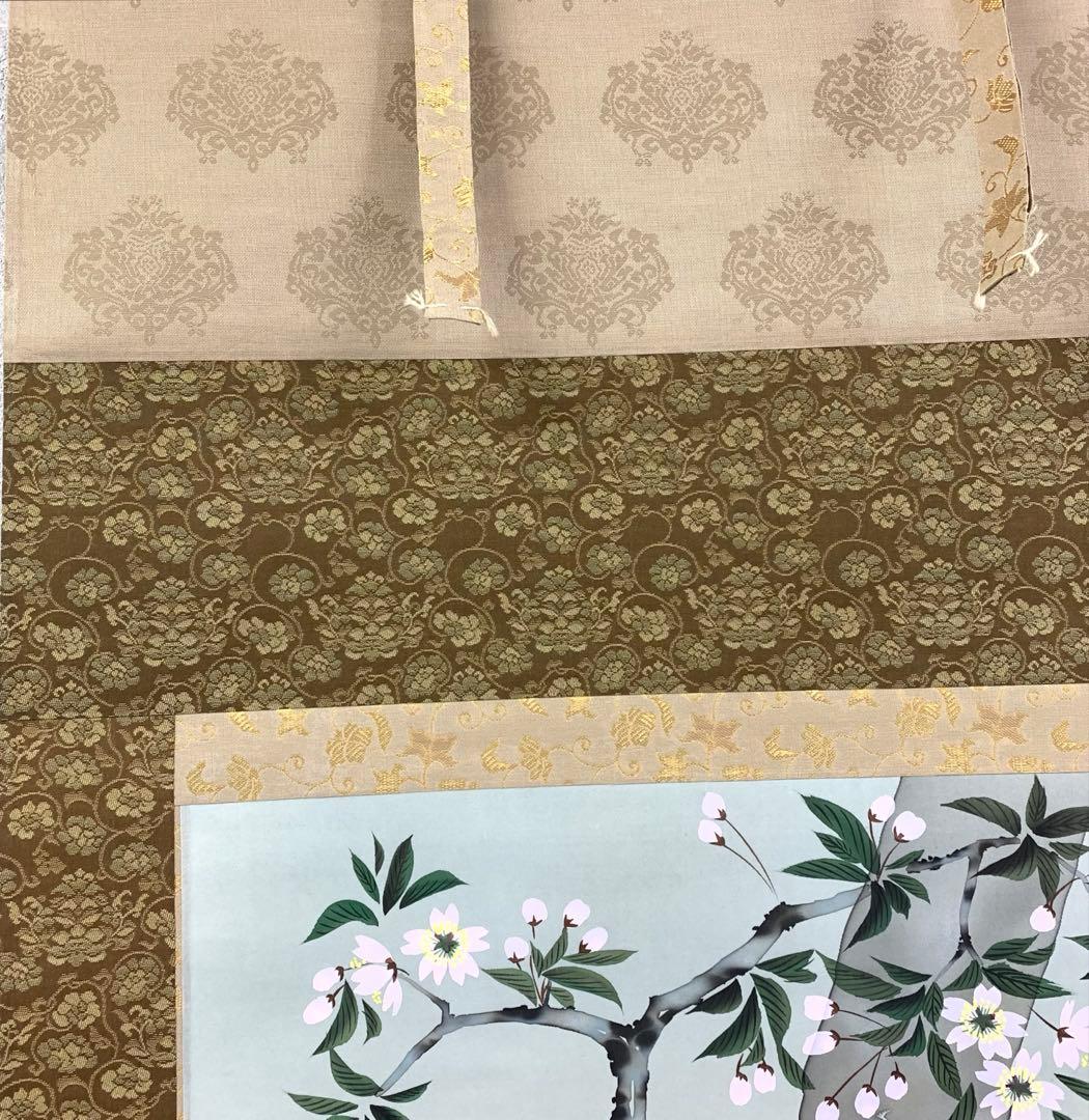 掛軸 秋峰 夜桜 共箱 春 月 満月 花 桜 5-14