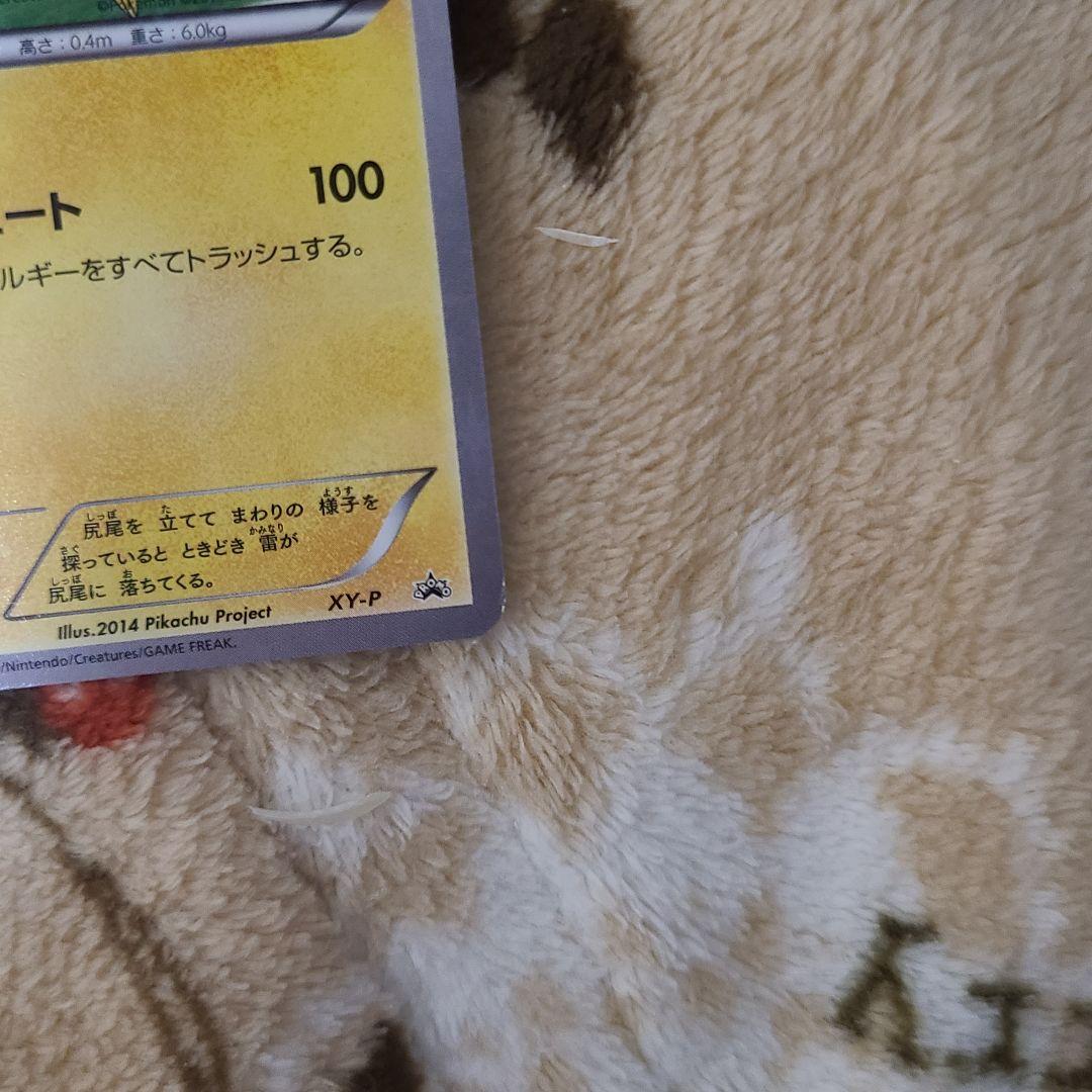 ピッチのピカチュウ　プロモ