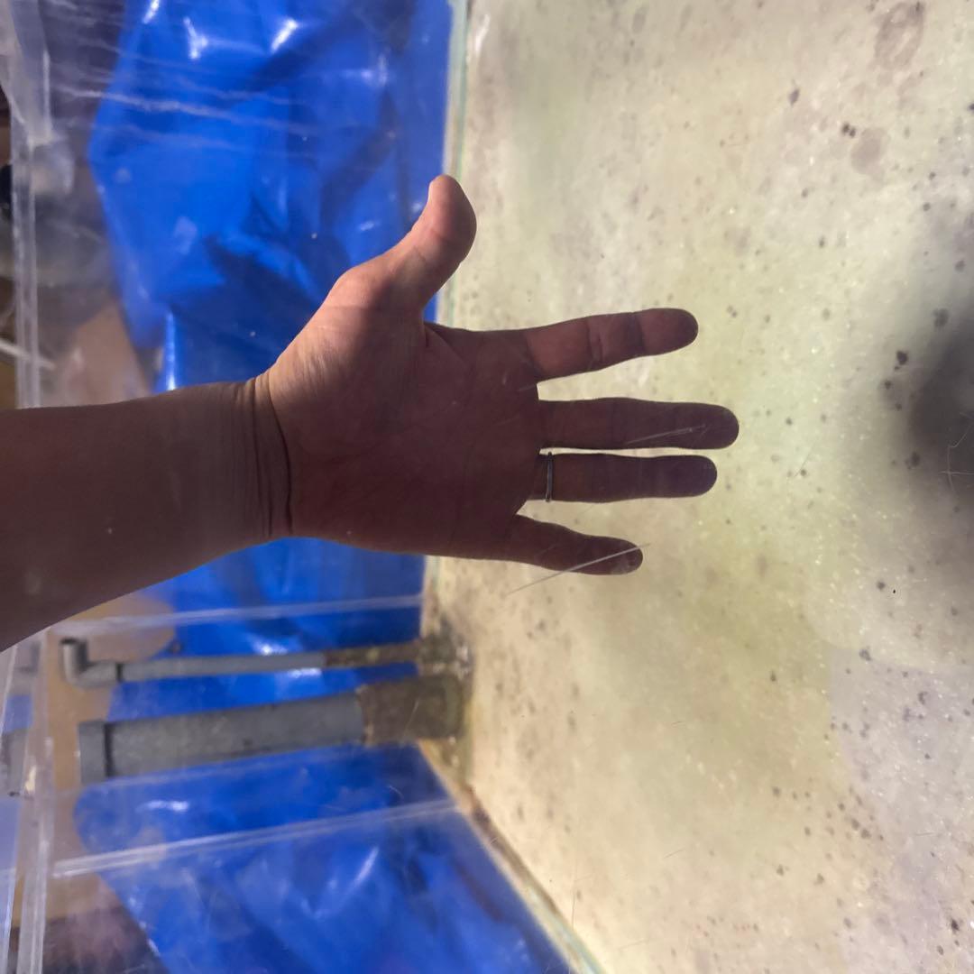 アクリル水槽W1200.D900.H4501月12日13日限定値下げ