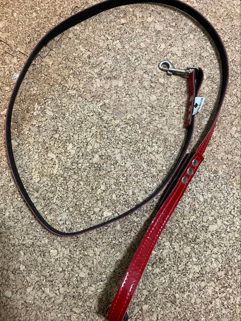 BUDDY BELT エナメルレッド 限定 3.5 ハーネス＋リードSセット