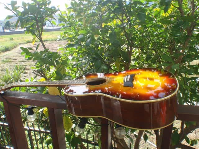 Morrisモーリス MG-301BRS　程度良い　よく鳴る